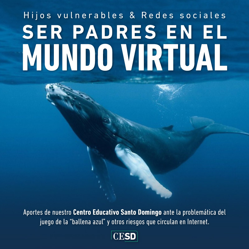 Articulo Redes Sociales