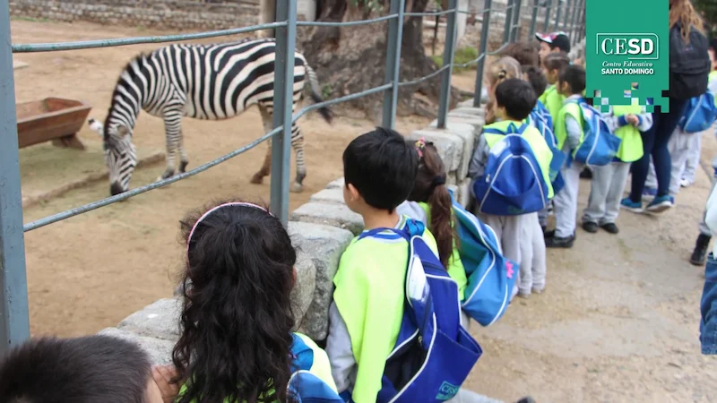 ¿Por qué enseñamos como enseñamos?