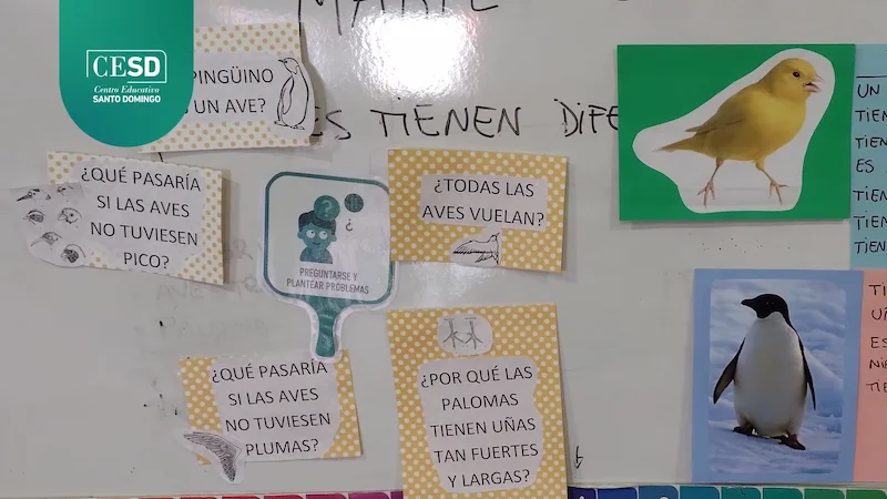 Enseñanza para la Comprensión